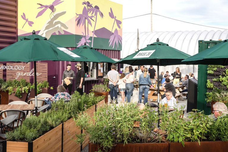 live music prince edward county